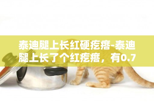 泰迪腿上長紅硬疙瘩-泰迪腿上長了個紅疙瘩，有0.7厘米直徑，硬的！似乎很癢，狗狗喜歡舔。請問專家或有