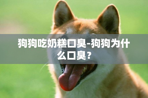狗狗吃奶糕口臭-狗狗為什么口臭？