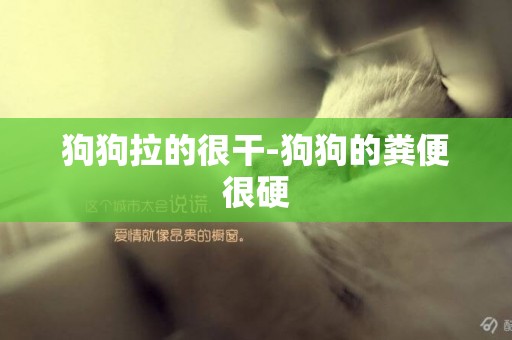 狗狗拉的很干-狗狗的糞便很硬