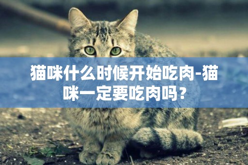 貓咪什么時候開始吃肉-貓咪一定要吃肉嗎？