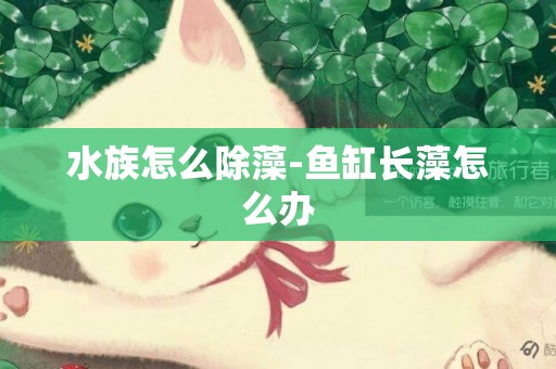 水族怎么除藻-魚缸長藻怎么辦
