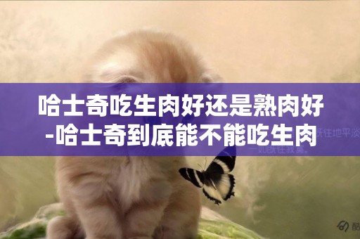 哈士奇吃生肉好還是熟肉好-哈士奇到底能不能吃生肉