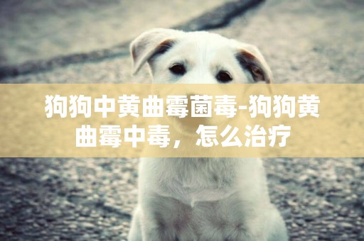 狗狗中黃曲霉菌毒-狗狗黃曲霉中毒，怎么治療