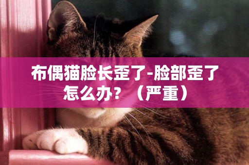 布偶貓臉長歪了-臉部歪了怎么辦？（嚴重）