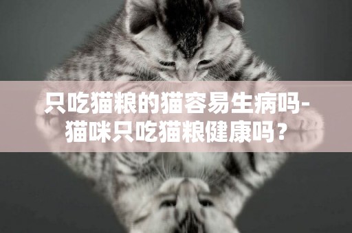 只吃貓糧的貓容易生病嗎-貓咪只吃貓糧健康嗎？