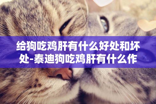 給狗吃雞肝有什么好處和壞處-泰迪狗吃雞肝有什么作用