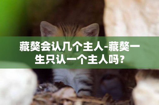 藏獒會認幾個主人-藏獒一生只認一個主人嗎？