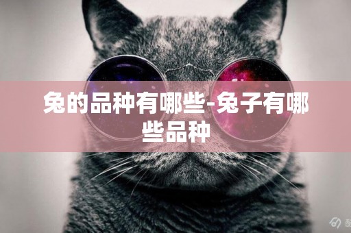 兔的品種有哪些-兔子有哪些品種