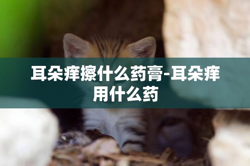 耳朵癢擦什么藥膏-耳朵癢用什么藥