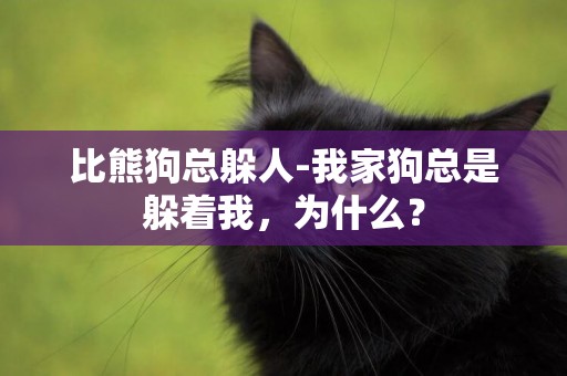 比熊狗總躲人-我家狗總是躲著我，為什么？