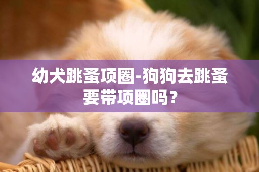幼犬跳蚤項圈-狗狗去跳蚤要帶項圈嗎？