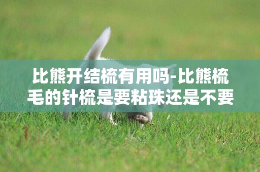 比熊開結梳有用嗎-比熊梳毛的針梳是要粘珠還是不要粘珠