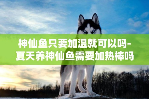 神仙魚只要加溫就可以嗎-夏天養神仙魚需要加熱棒嗎？
