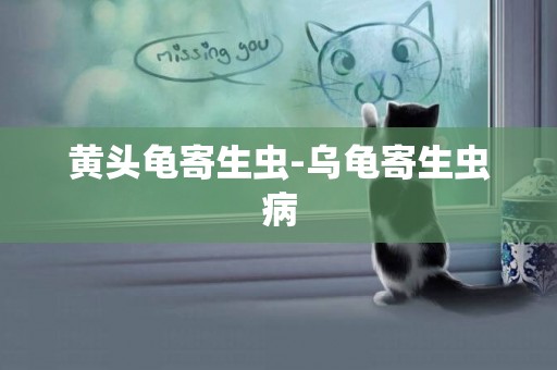 黃頭龜寄生蟲-烏龜寄生蟲病