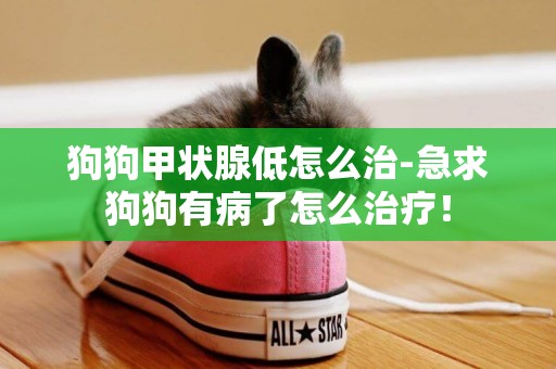 狗狗甲狀腺低怎么治-急求狗狗有病了怎么治療！