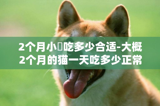 2個月小貓吃多少合適-大概2個月的貓一天吃多少正常？