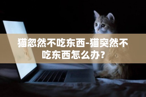 貓忽然不吃東西-貓突然不吃東西怎么辦？