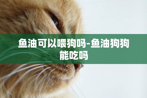 魚油可以喂狗嗎-魚油狗狗能吃嗎