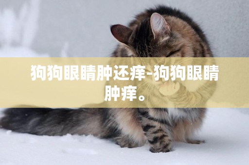 狗狗眼睛腫還癢-狗狗眼睛腫癢。