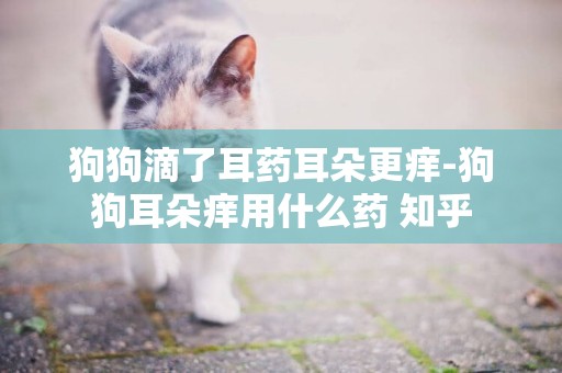 狗狗滴了耳藥耳朵更癢-狗狗耳朵癢用什么藥 知乎