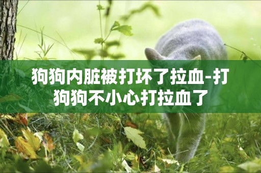 狗狗內臟被打壞了拉血-打狗狗不小心打拉血了