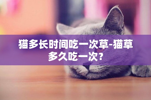 貓多長時間吃一次草-貓草多久吃一次？
