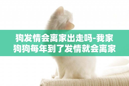 狗發情會離家出走嗎-我家狗狗每年到了發情就會離家出走,除了關著它還有什么辦法?