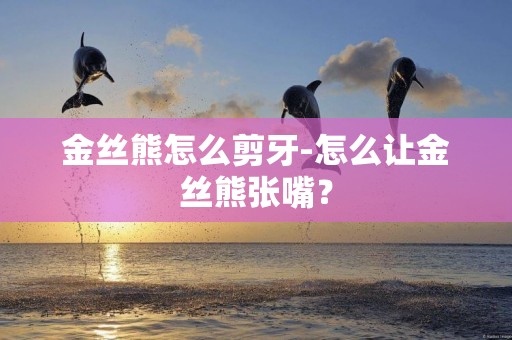 金絲熊怎么剪牙-怎么讓金絲熊張嘴？