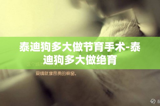 泰迪狗多大做節育手術-泰迪狗多大做絕育