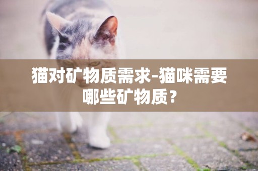 貓對礦物質需求-貓咪需要哪些礦物質？