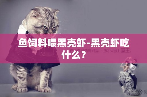 魚飼料喂黑殼蝦-黑殼蝦吃什么？