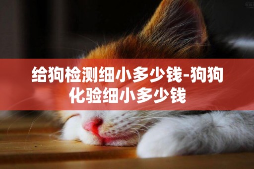 給狗檢測細小多少錢-狗狗化驗細小多少錢