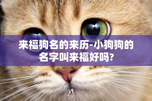 來福狗名的來歷-小狗狗的名字叫來福好嗎?