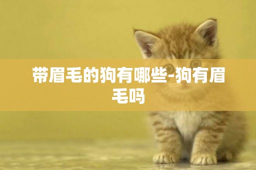 帶眉毛的狗有哪些-狗有眉毛嗎