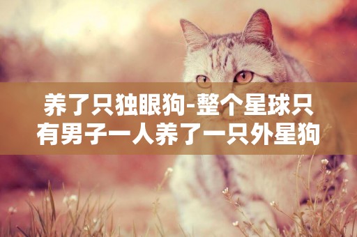 養了只獨眼狗-整個星球只有男子一人養了一只外星狗是什么電影