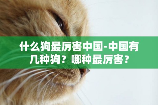 什么狗最厲害中國-中國有幾種狗？哪種最厲害？
