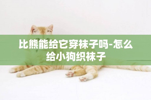比熊能給它穿襪子嗎-怎么給小狗織襪子