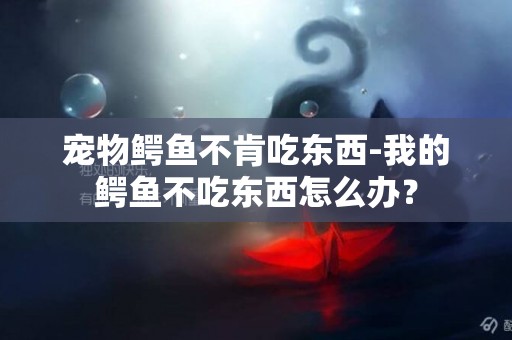 寵物鱷魚不肯吃東西-我的鱷魚不吃東西怎么辦？