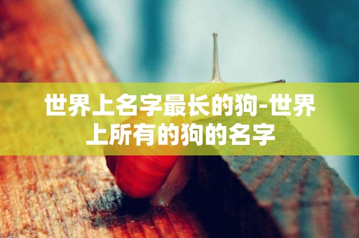 世界上名字最長的狗-世界上所有的狗的名字