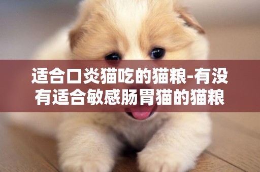 適合口炎貓吃的貓糧-有沒有適合敏感腸胃貓的貓糧