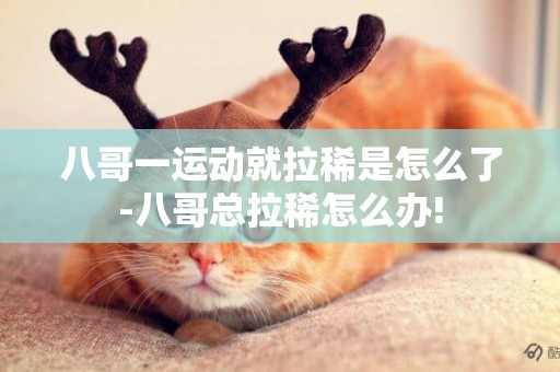 八哥一運動就拉稀是怎么了-八哥總拉稀怎么辦!