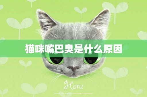 貓咪嘴巴臭是什么原因