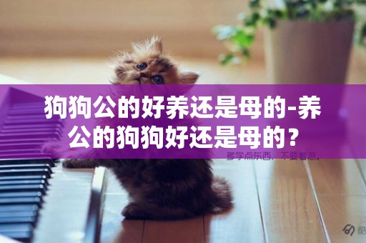 狗狗公的好養還是母的-養公的狗狗好還是母的？