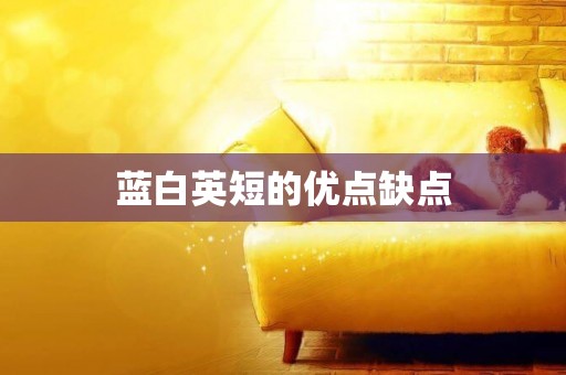 藍白英短的優點缺點