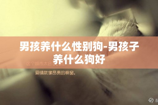 男孩養什么性別狗-男孩子養什么狗好