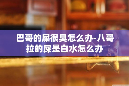 巴哥的屎很臭怎么辦-八哥拉的屎是白水怎么辦