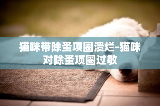貓咪帶除蚤項圈潰爛-貓咪對除蚤項圈過敏