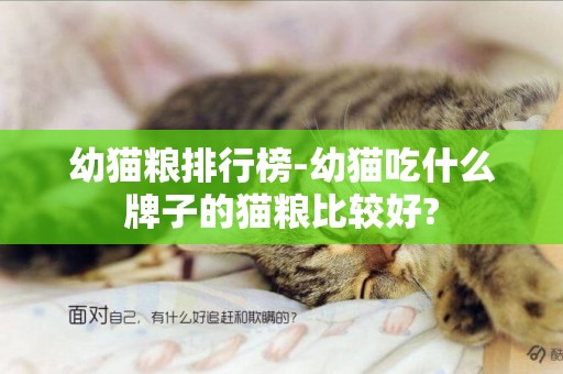 幼貓糧排行榜-幼貓吃什么牌子的貓糧比較好?