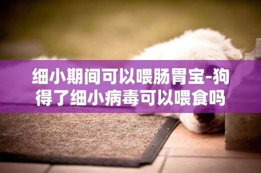 細小期間可以喂腸胃寶-狗得了細小病毒可以喂食嗎