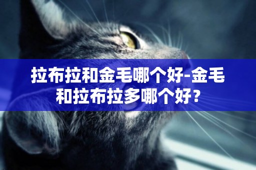 拉布拉和金毛哪個好-金毛和拉布拉多哪個好？